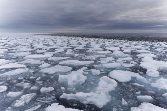 Svalbard Summer 2019