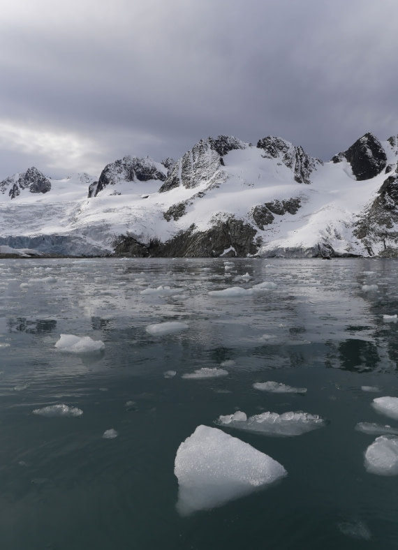 Svalbard Summer 2019