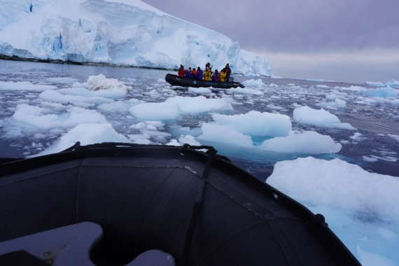 Antartica Zodiac trip