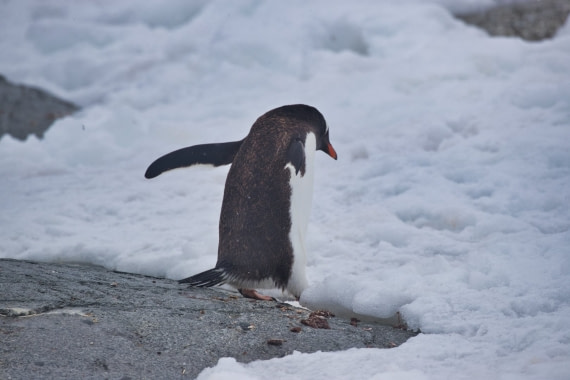 Should I stay or should I go