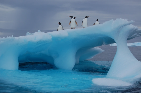 Where do we go captain?