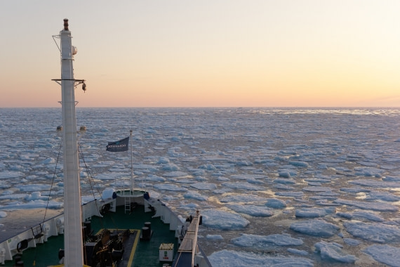 East Greenland ice drift seen from MV Plancius