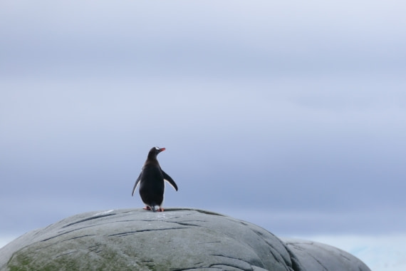 It’s a big world out there