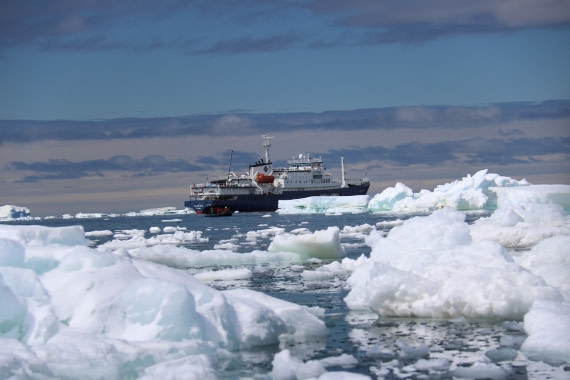 Zodiak Ausfahrt Shingle Cove