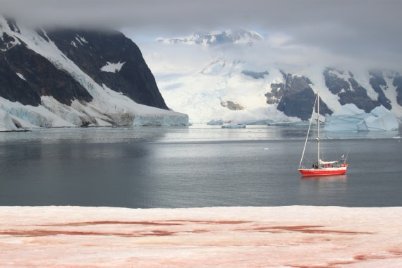 Aristotle's Watermelon Snow