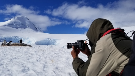 Chuck shoots a penguin