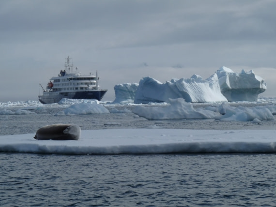 The Hondius surrounding icebergs and the mamal area