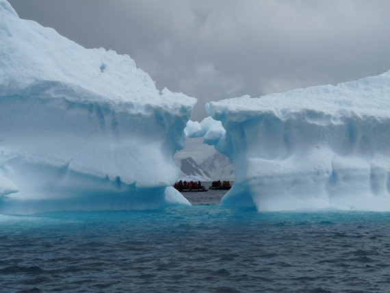 Icebergs by Anver Island