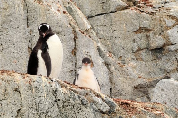 who do you think are you talking to