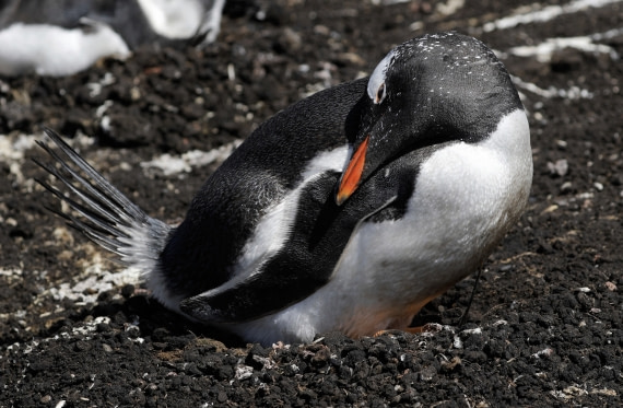Auf das Ei aufpassen