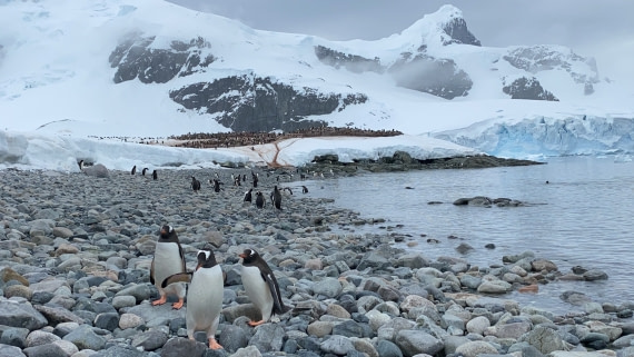 Hanging out and having a swim