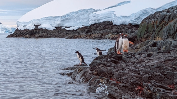 All of them together