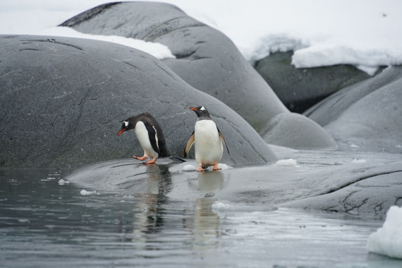 Creo que necesito un chapuzón
