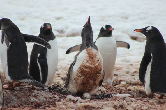 Protection at any cost