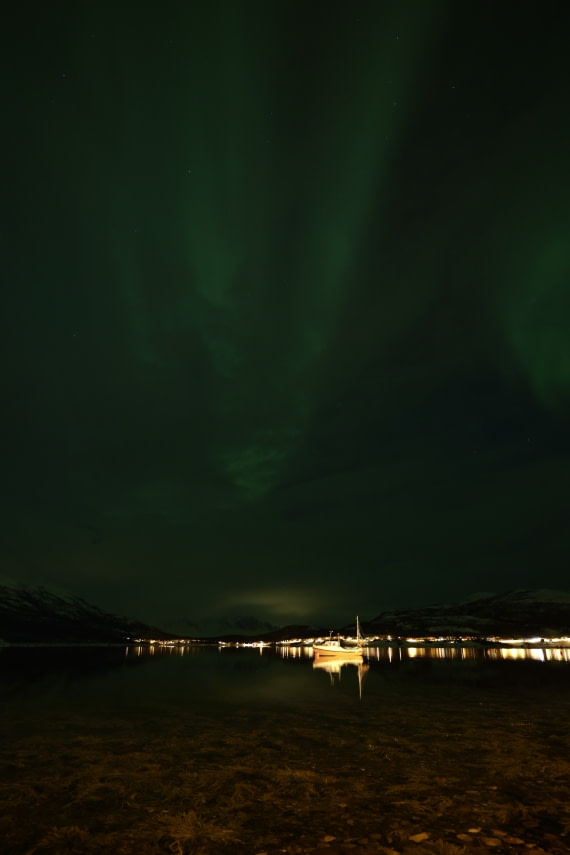 Lady Aurora dancing over Burfjord