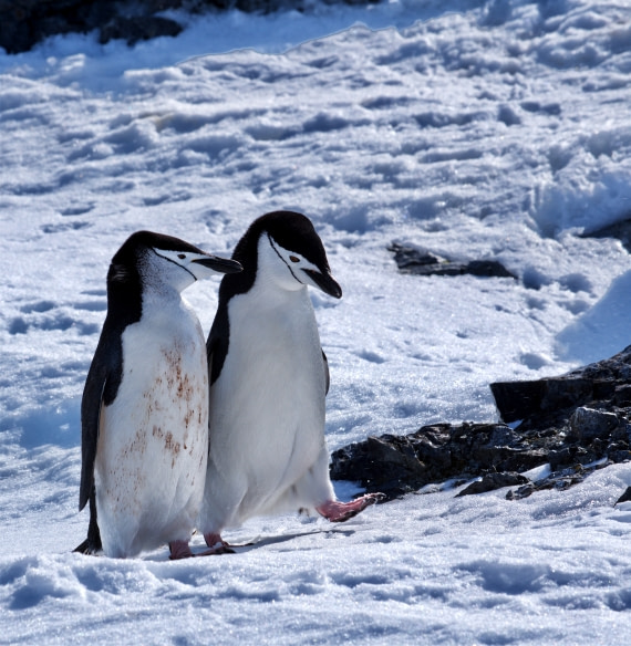 Having an important talk