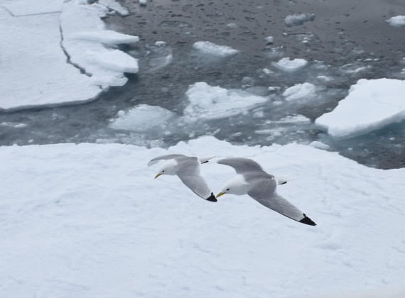 The two of us above the ice