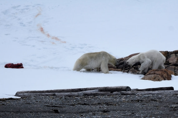 This lunch is mine now!