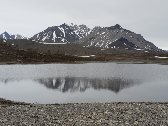 Gray can be beautiful, too!