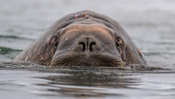 I keep an eye on you!