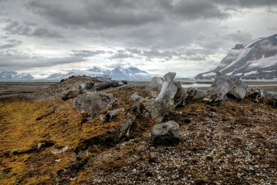 Beautiful graveyard.
