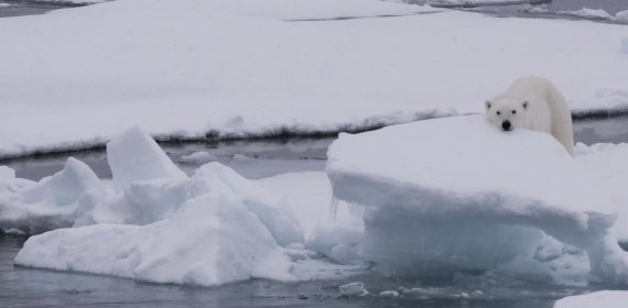 Lazy afternoon - Aug 29 2022