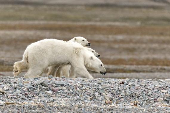 mom take care of you