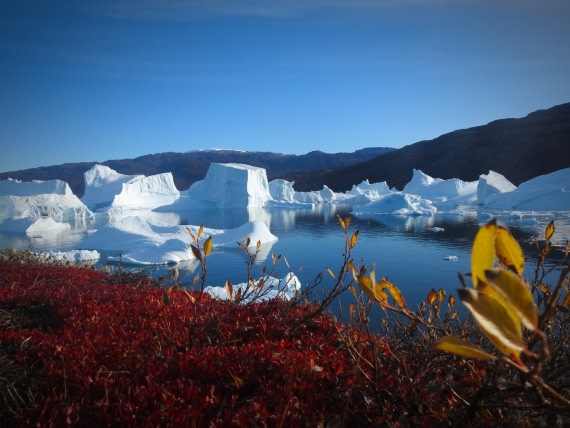 Colours of Greenland