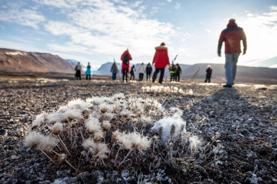 Walk into and become part of nature in the Scoresby Sund with Oceanwide Expeditions