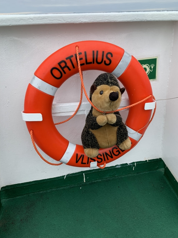 Blinder Passagier auf der MS Orteilius