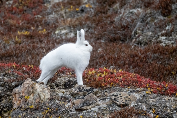 Yoga in the morning_1