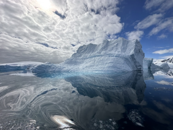 Foyn harbour reflections