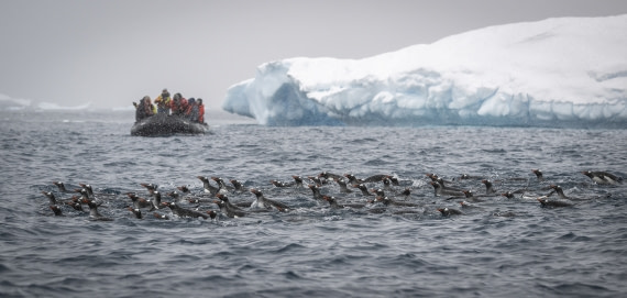 We're Looking At YOU!