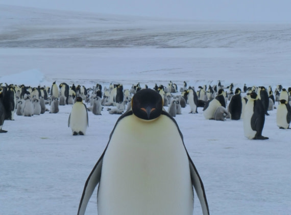 Welcome to Snow Hill