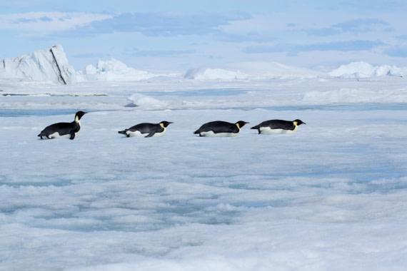 The beauty of Antarctica