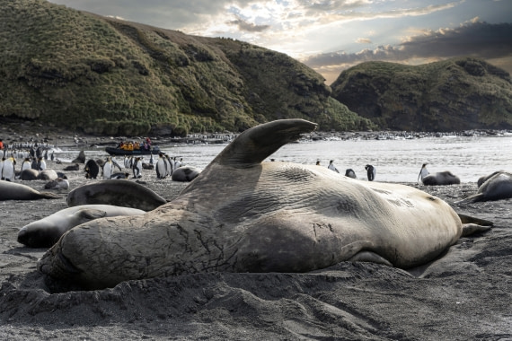 Paseando entre gigantes