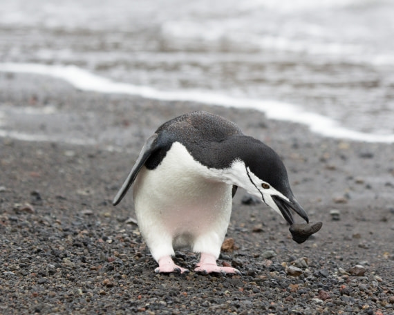 I think i've got hold of it!