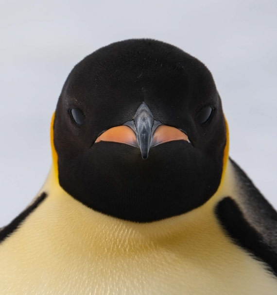 Are you talking to me ?