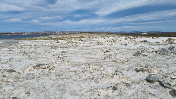 Gypsy Cove, Stanley's Hidden Gem