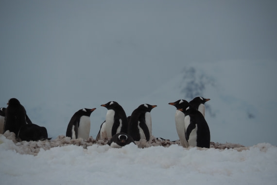 "And what are we waiting fo?!"