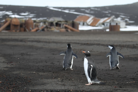 escaping from intruders