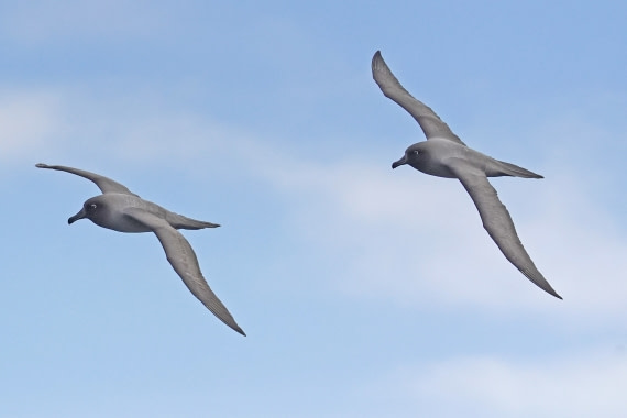 flying must be amazing