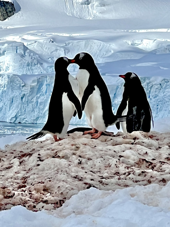 With This Pebble….