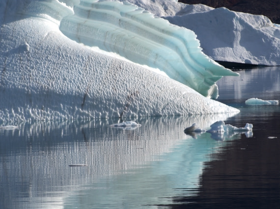 Whiter shade of pale