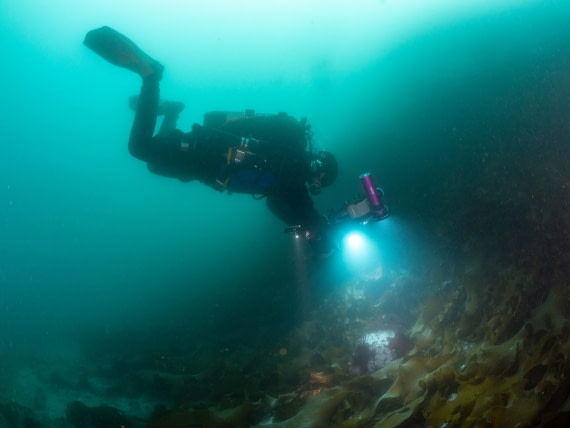 Underwater exploration