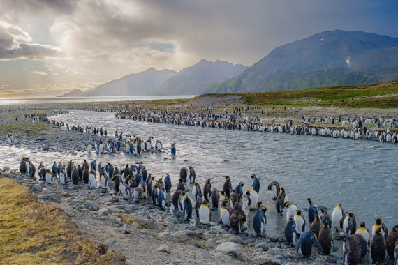 Sunrise at St Andrews Bay