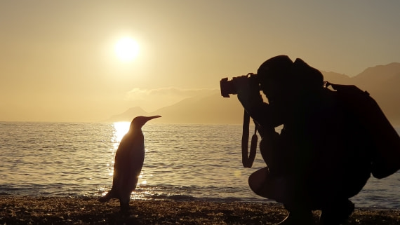Sunrise at St Andrews Bay