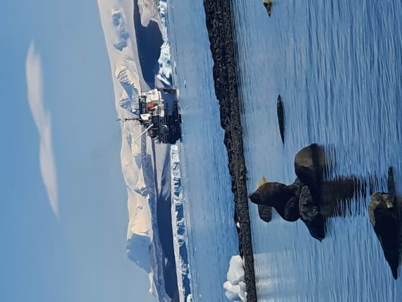 The Local with the Nonlocal!