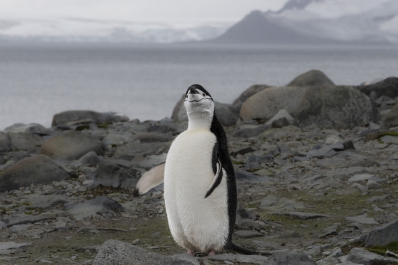 In conversation with God