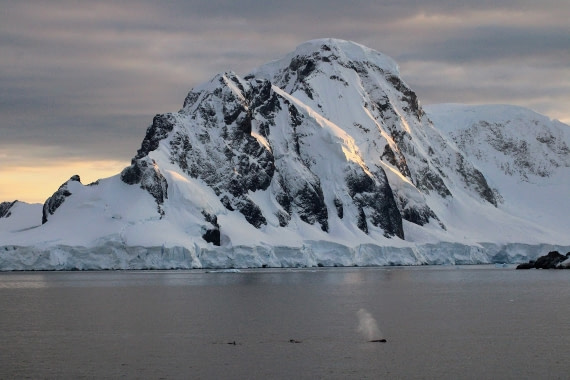 Humpbacks and the mountain